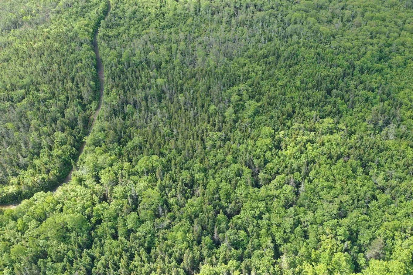 Grant 16738 Moser River North Road, Moser River, NS