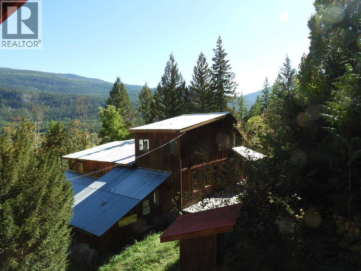 6119 Slocan River Road, Appledale, BC - Outdoor