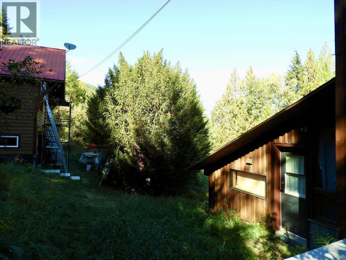 6119 Slocan River Road, Appledale, BC - Outdoor