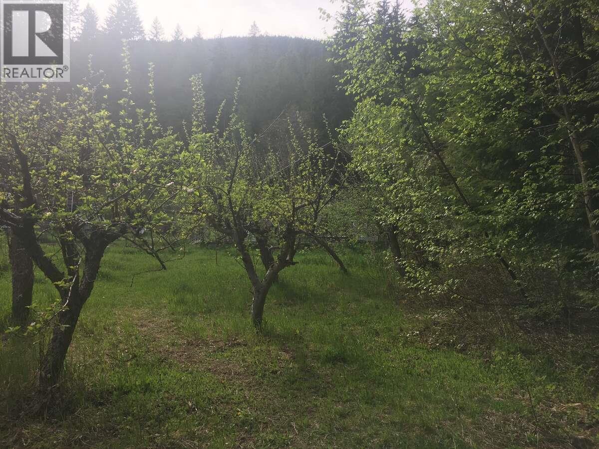 6119 Slocan River Road, Appledale, BC - Outdoor With View