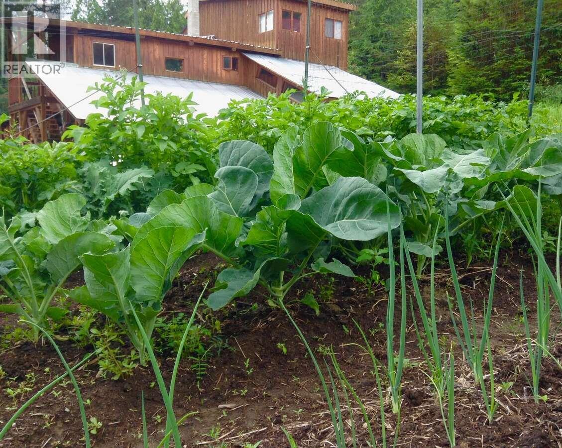 6119 Slocan River Road, Appledale, BC - Outdoor