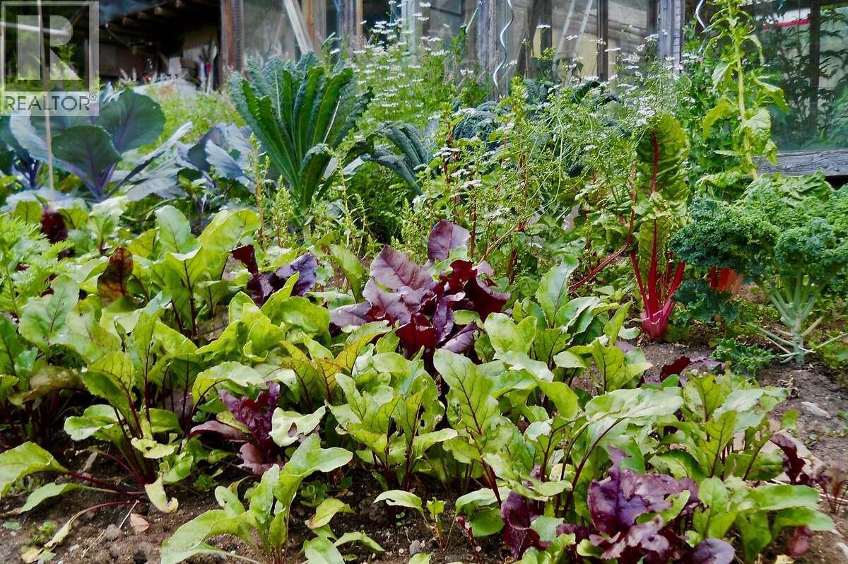 6119 Slocan River Road, Appledale, BC - Outdoor