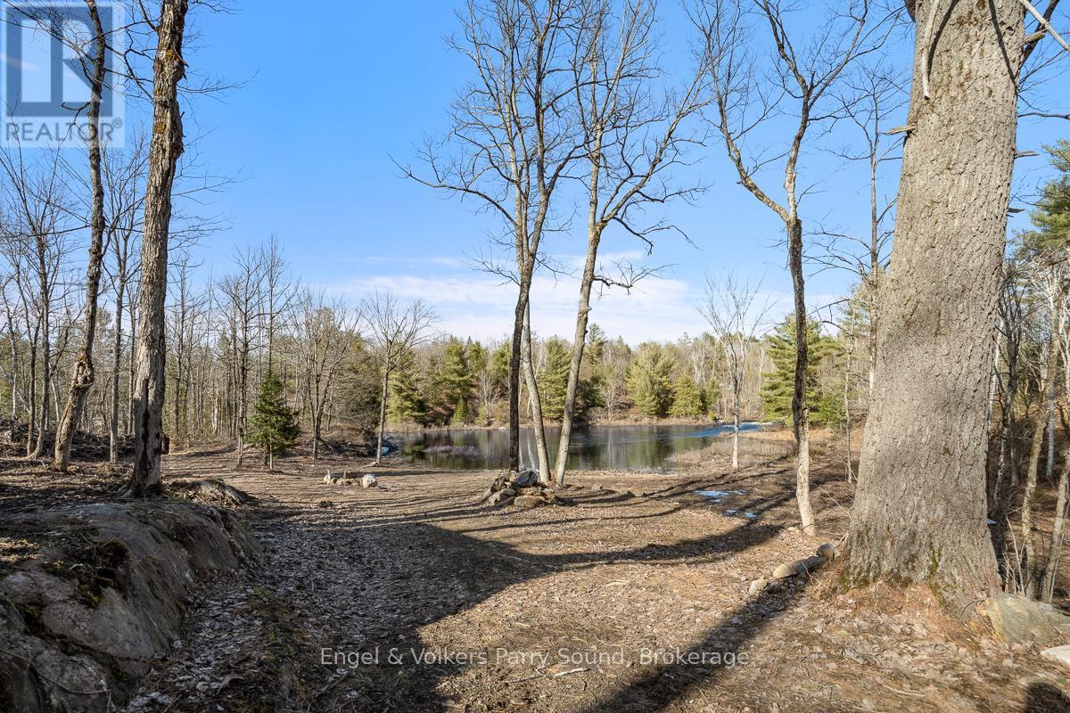 699 Bunny Trail, Whitestone, ON