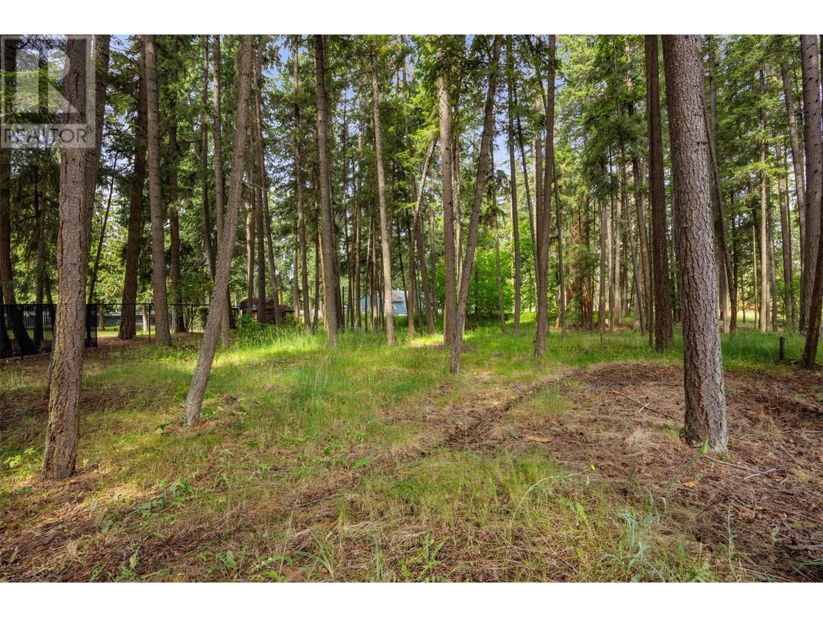 3789 Zinck Road, Scotch Creek, BC - Outdoor With View