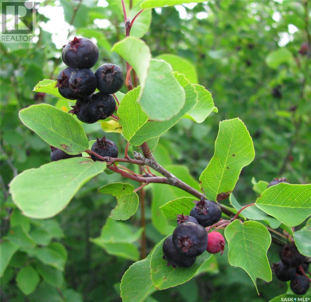 309 Laurier Crescent, Laird Rm No. 404, SK