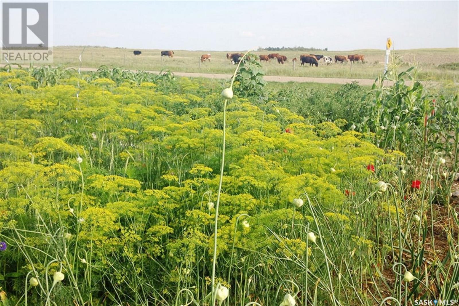 309 Laurier Crescent, Laird Rm No. 404, SK