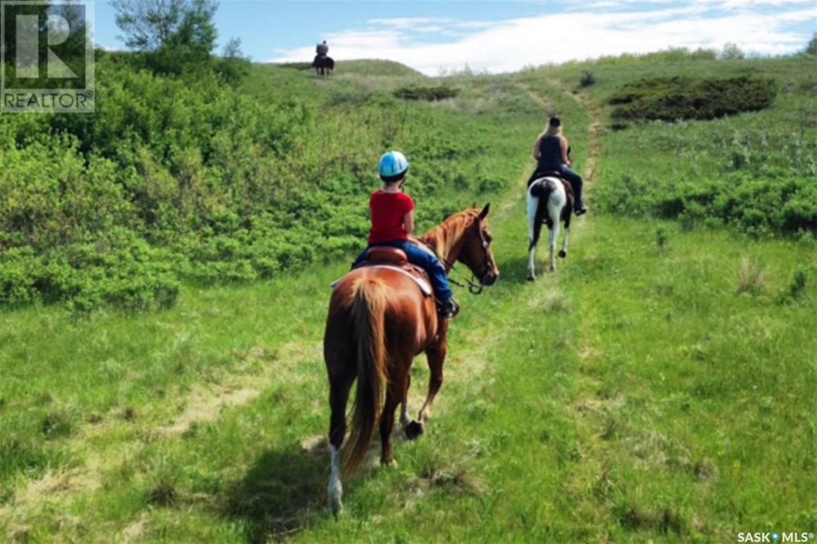 309 Laurier Crescent, Laird Rm No. 404, SK