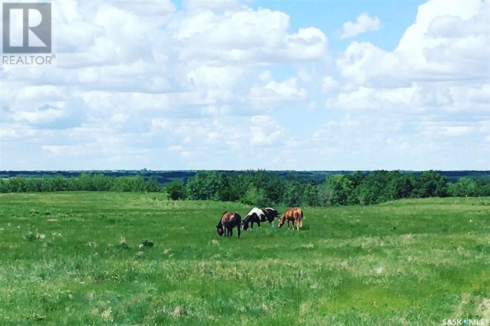 309 Laurier Crescent, Laird Rm No. 404, SK