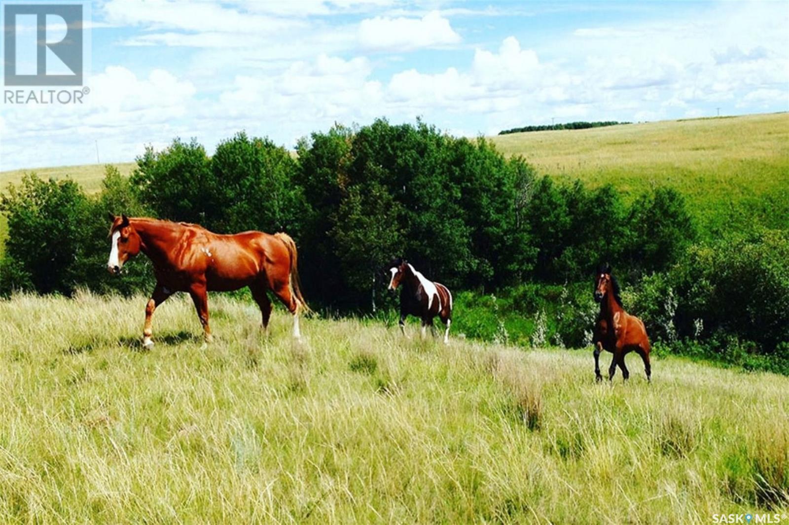 309 Laurier Crescent, Laird Rm No. 404, SK