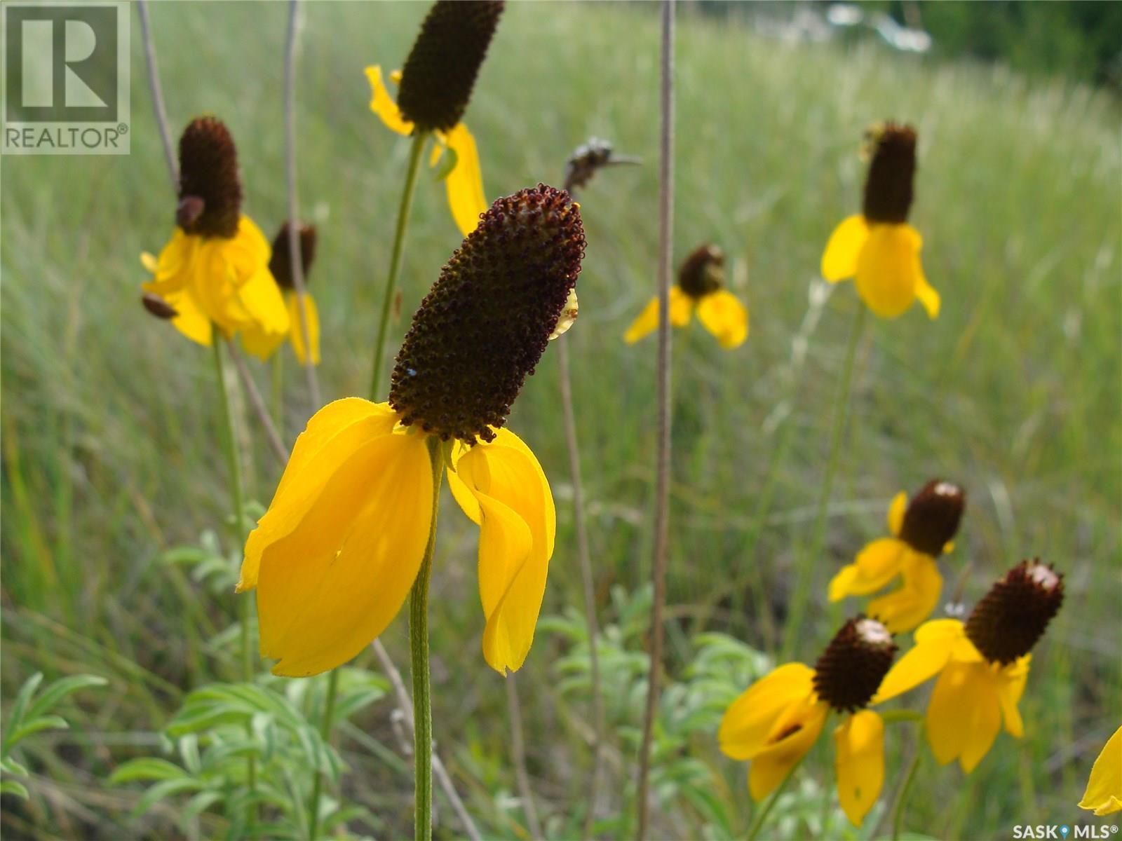 309 Laurier Crescent, Laird Rm No. 404, SK