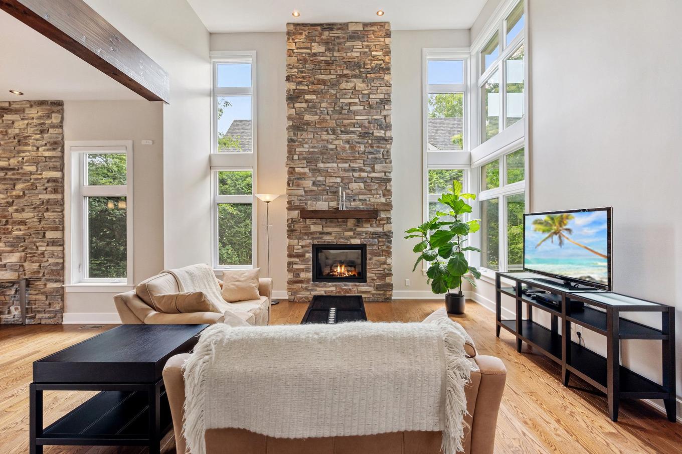 Living room - 723 Rue Des Passerins, Mont-Saint-Hilaire, QC - Indoor Photo Showing Living Room With Fireplace