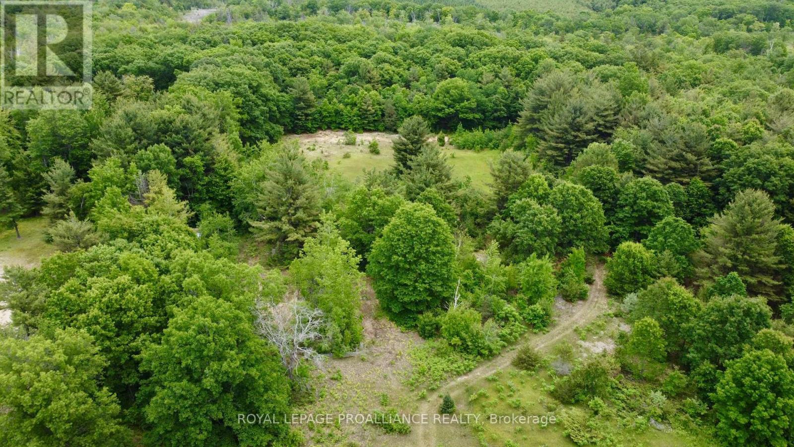 207 Middle Ridge Road, Brighton, ON