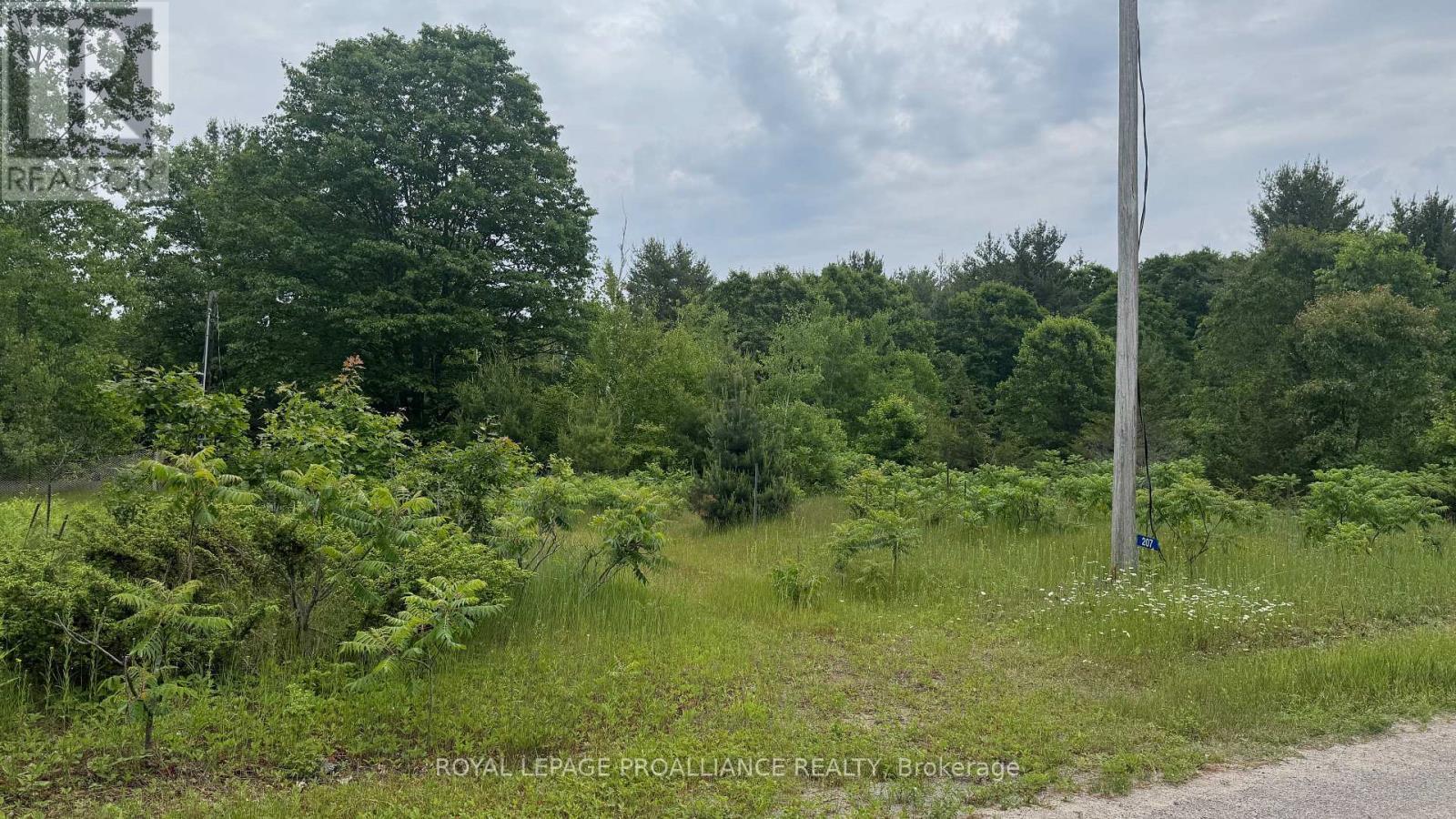 207 Middle Ridge Road, Brighton, ON