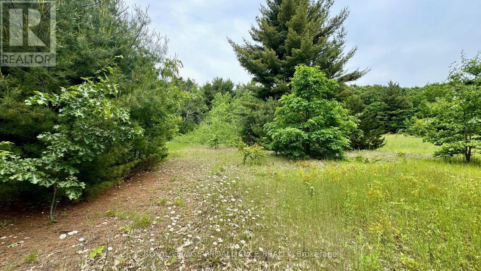 207 Middle Ridge Road, Brighton, ON