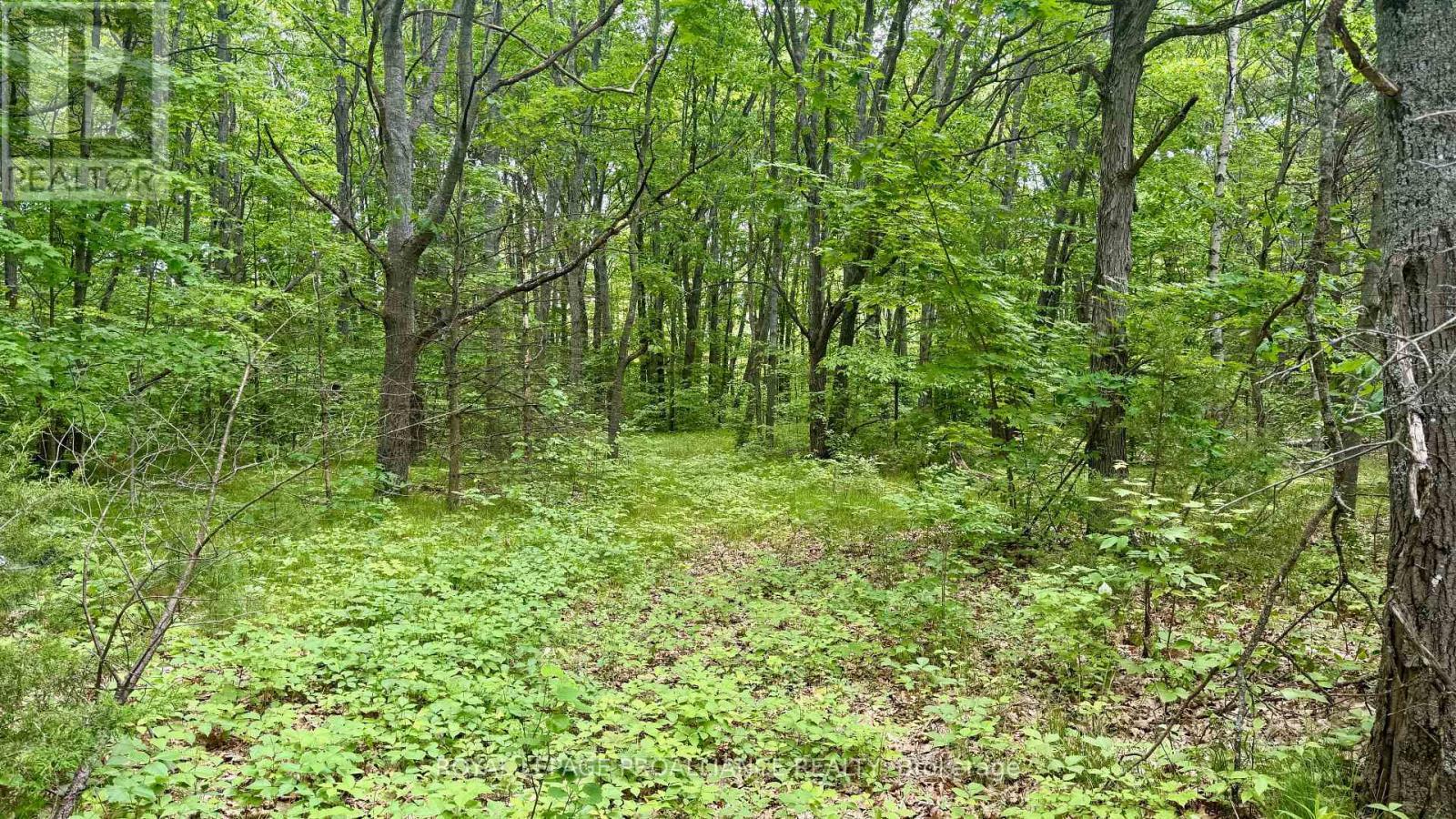 207 Middle Ridge Road, Brighton, ON