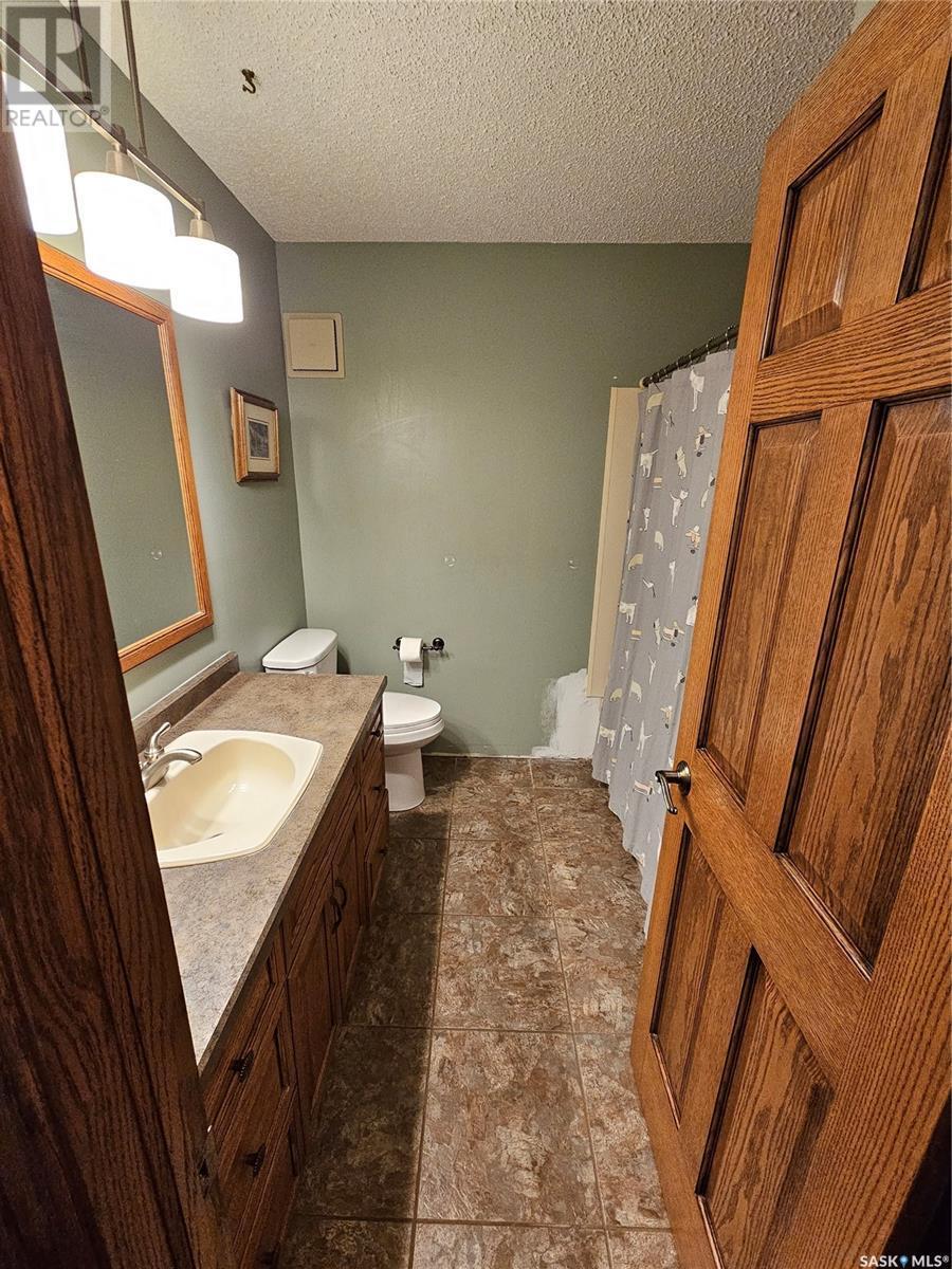 206 West 1St Street, Alida, SK - Indoor Photo Showing Bathroom