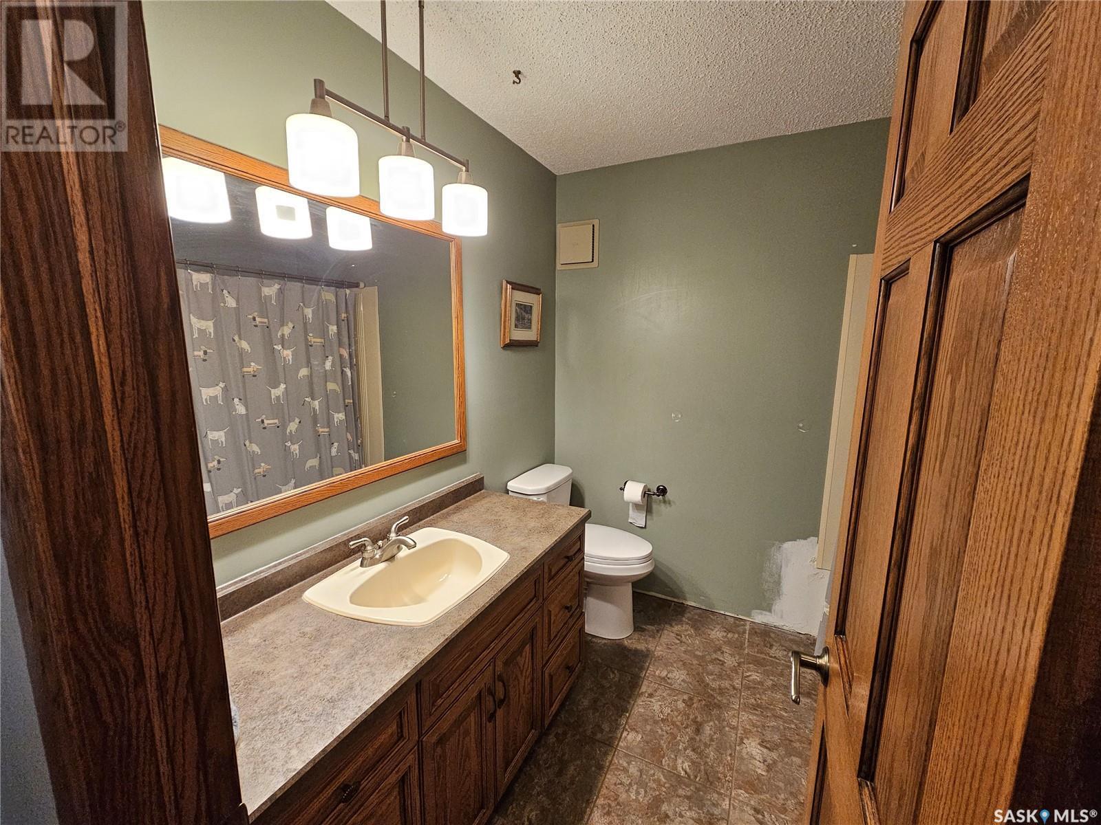 206 West 1St Street, Alida, SK - Indoor Photo Showing Bathroom