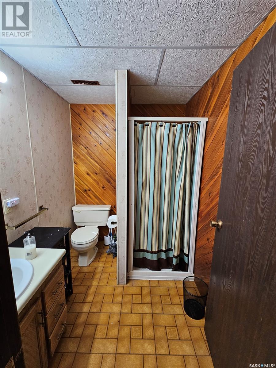 206 West 1St Street, Alida, SK - Indoor Photo Showing Bathroom