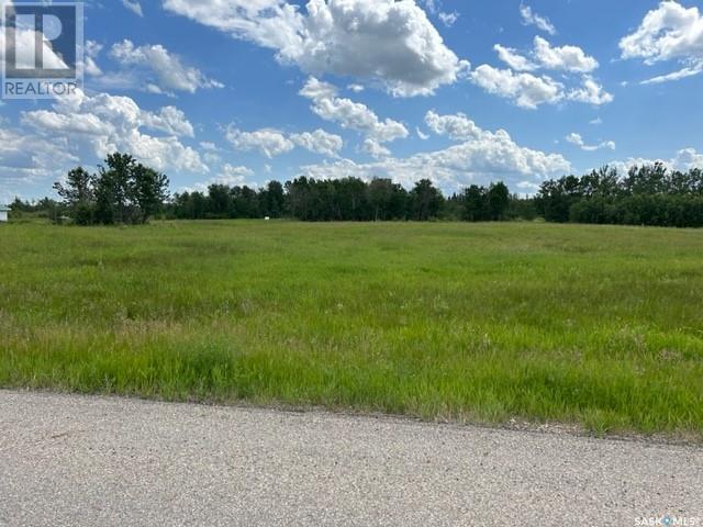 Lot 1, Park Meadow Lane, Buckland Rm No. 491, SK