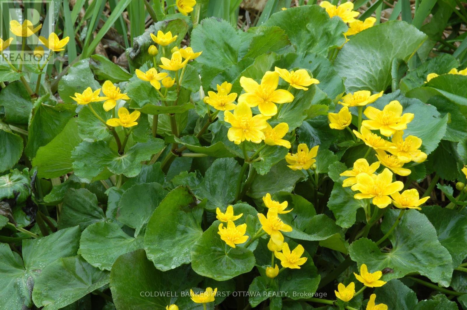 00 Poole Drive, Drummond/North Elmsley, ON