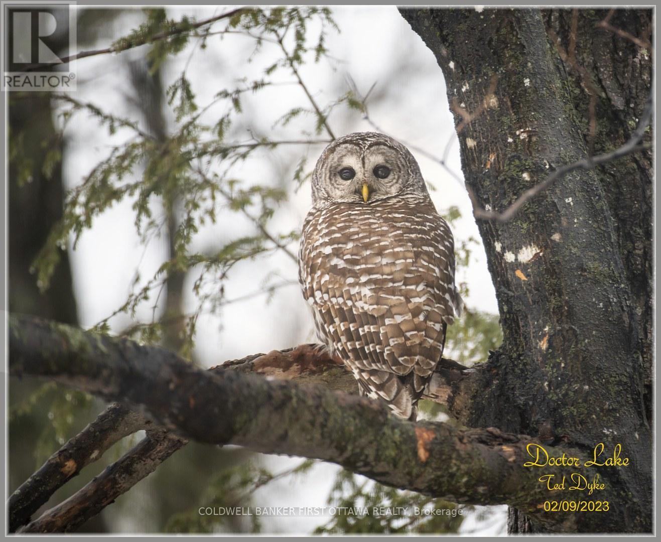 00 Poole Drive, Drummond/North Elmsley, ON