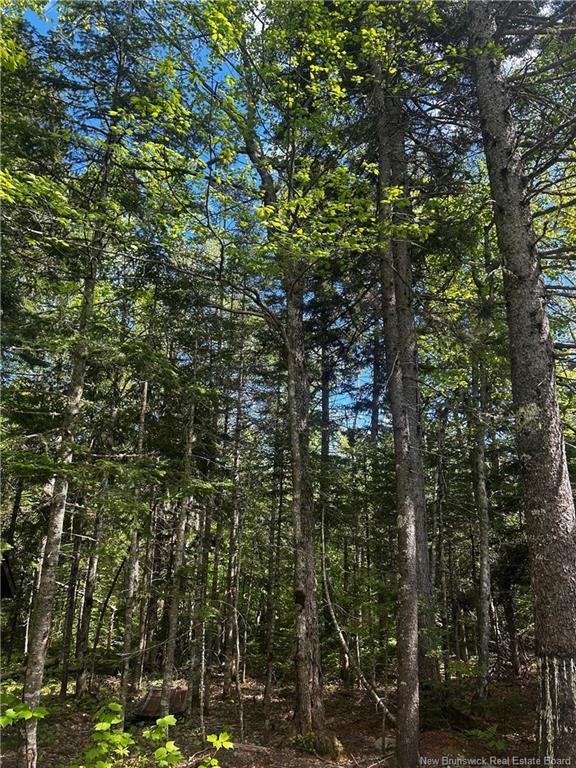 - Rte 10, Kierstead Mountain, NB