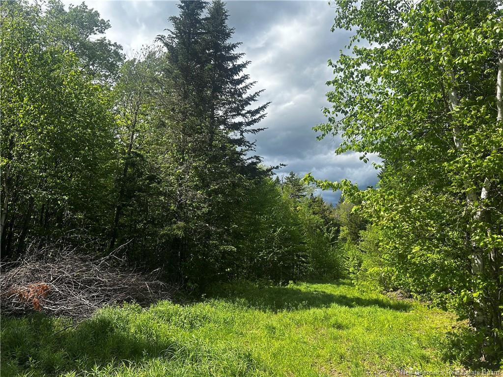 - Rte 10, Kierstead Mountain, NB