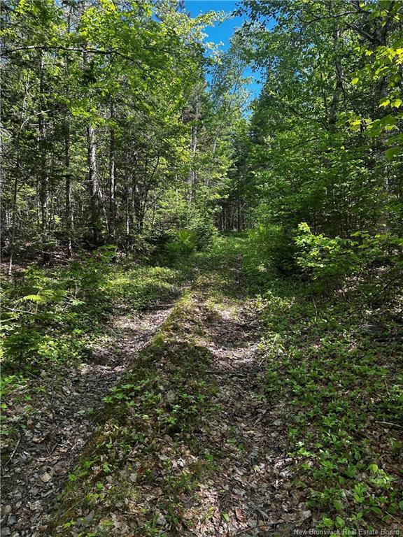 - Rte 10, Kierstead Mountain, NB