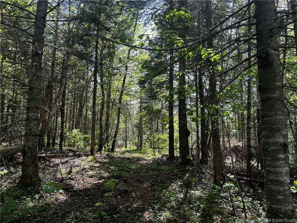 - Rte 10, Kierstead Mountain, NB