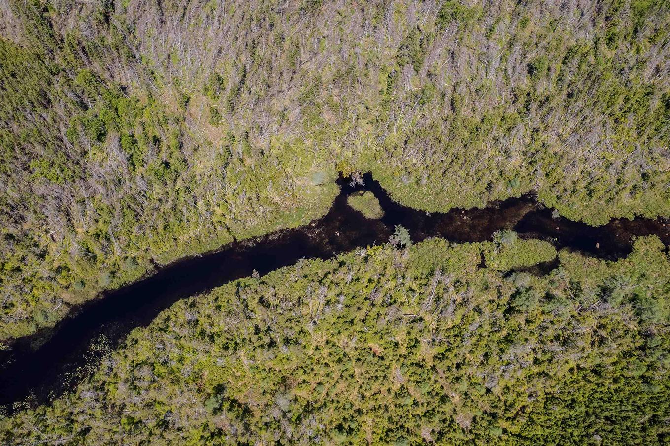 0 No. Louisbourg Highway, Louisbourg, NS