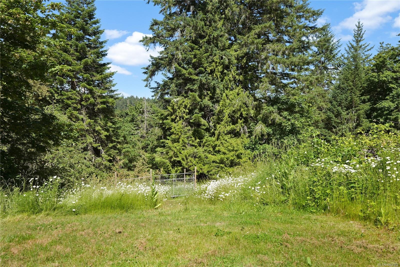 315 Booth Canal Rd, Salt Spring, BC