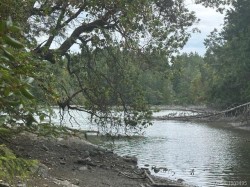 77 Pilkey Point Rd Thetis Island, BC V0R 2Y0