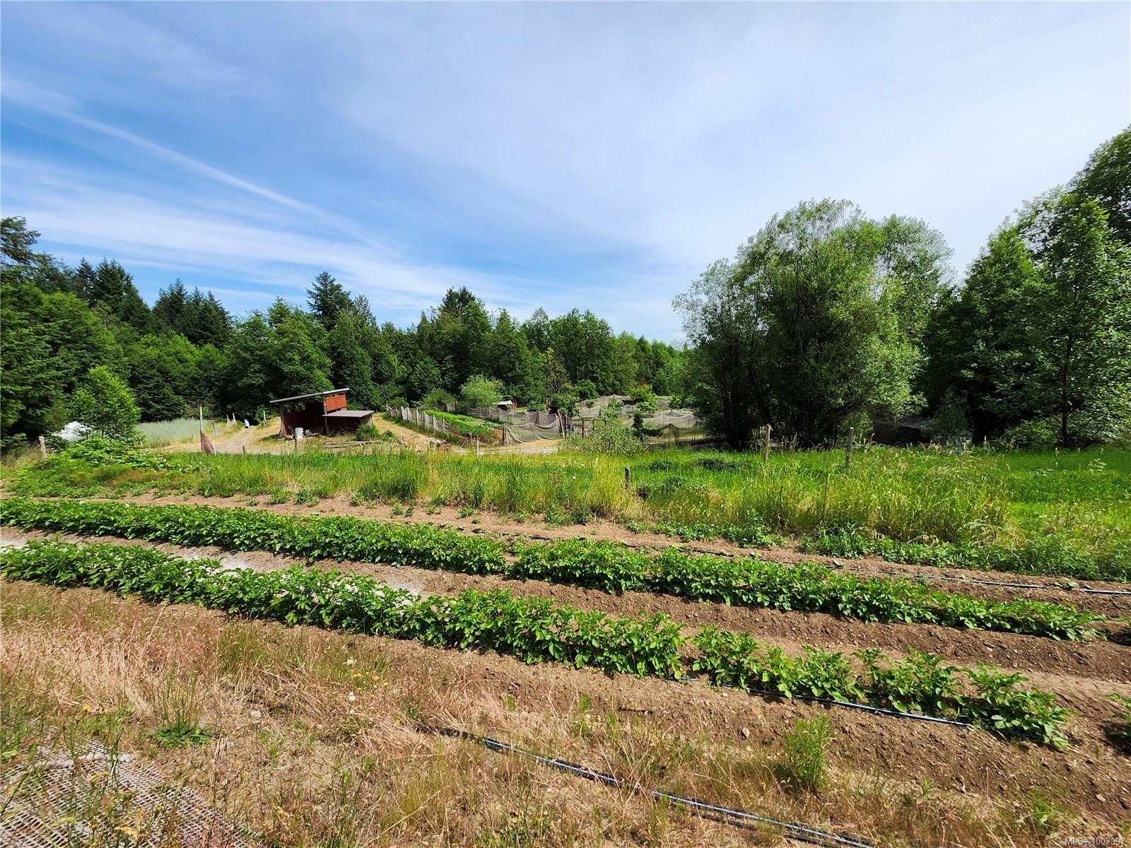 1075 Spider Lake Rd, Qualicum Beach, BC