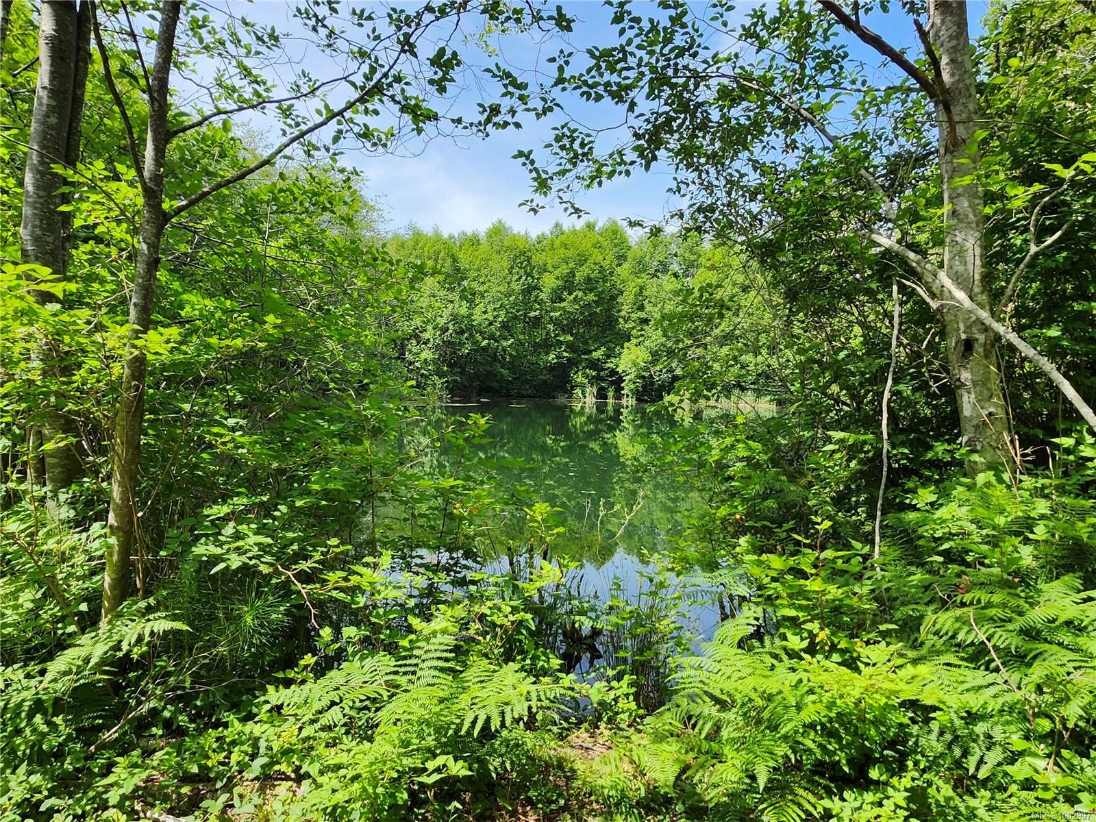 1075 Spider Lake Rd, Qualicum Beach, BC