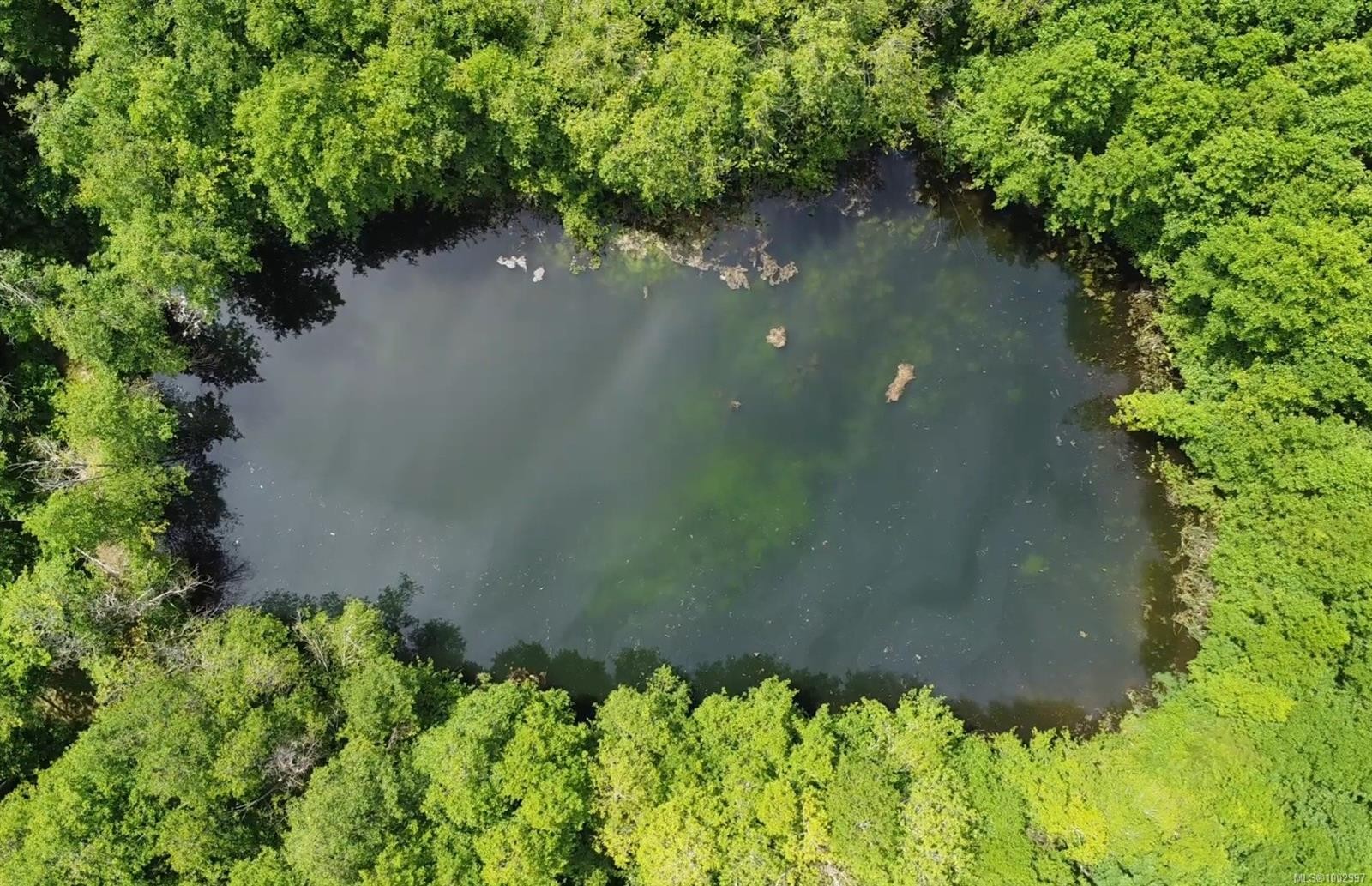 1075 Spider Lake Rd, Qualicum Beach, BC