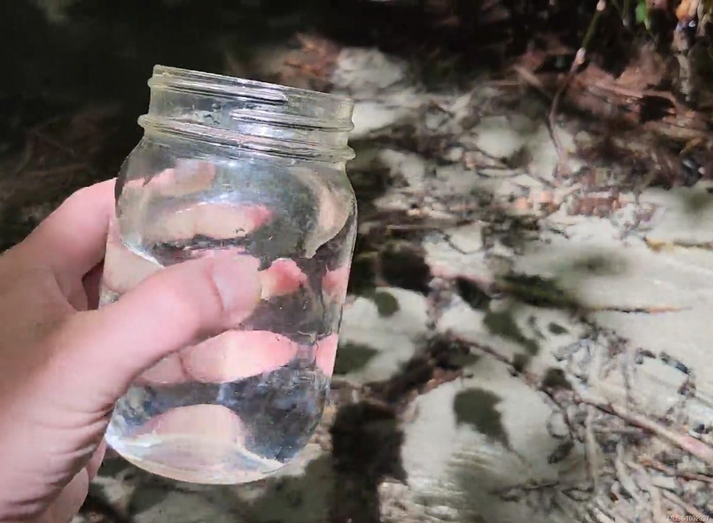 1075 Spider Lake Rd, Qualicum Beach, BC