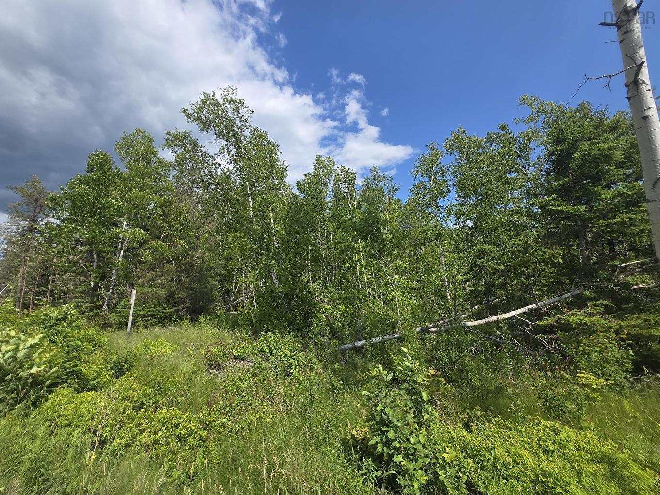 24-3Ab College Grant Road, College Grant, NS