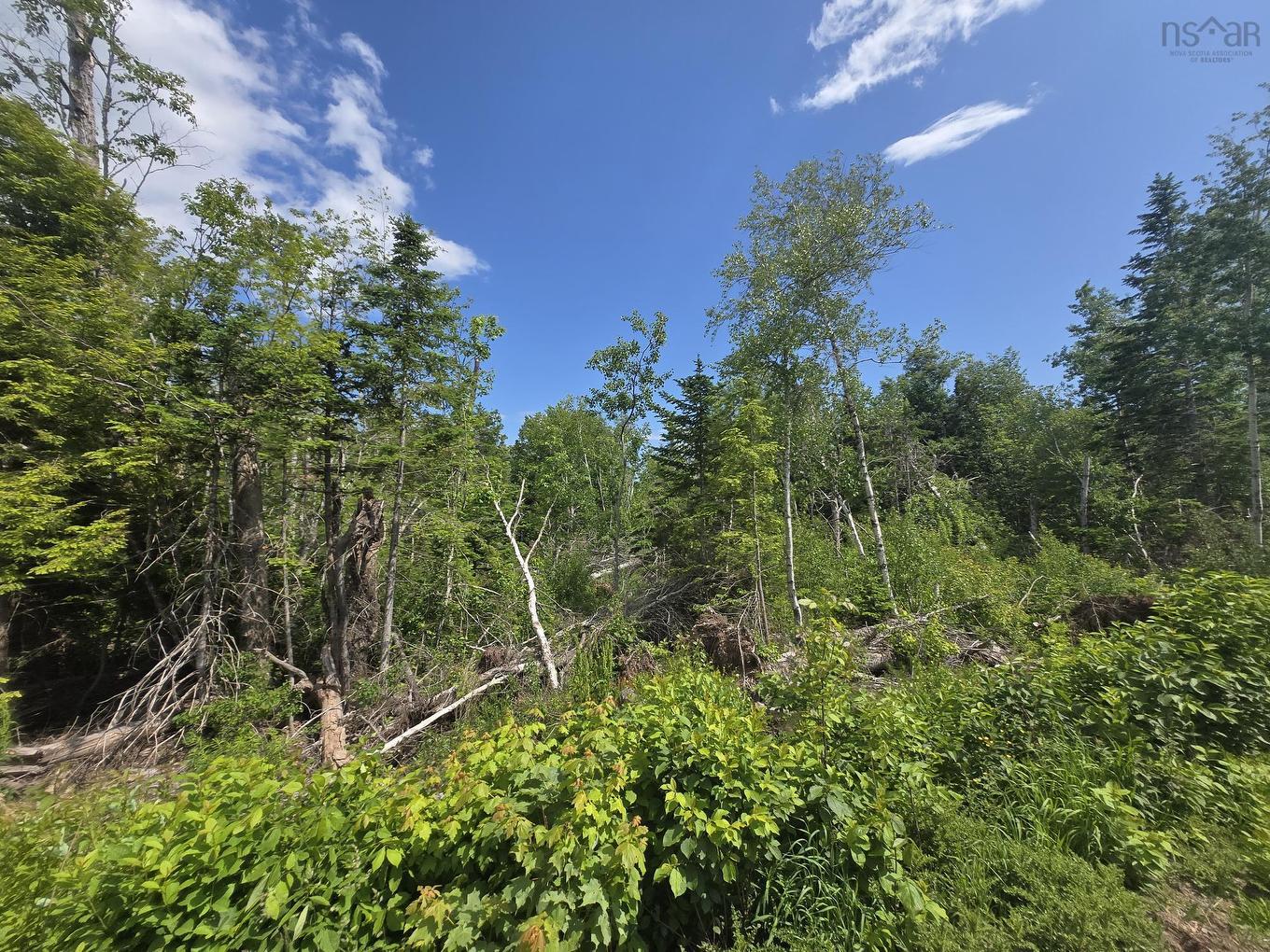 24-3Ab College Grant Road, College Grant, NS