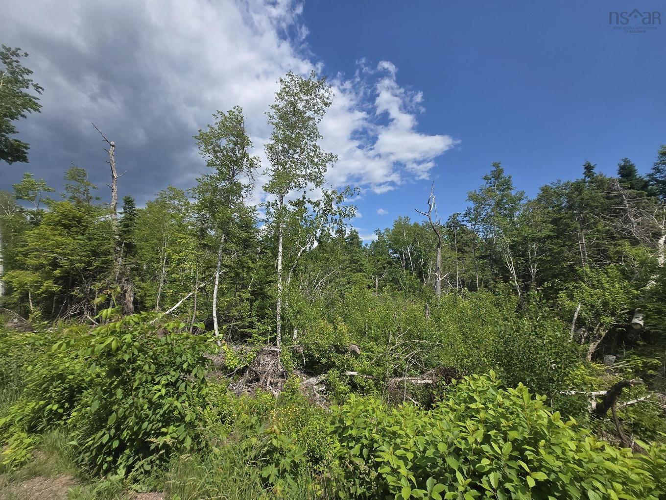 24-3Ab College Grant Road, College Grant, NS