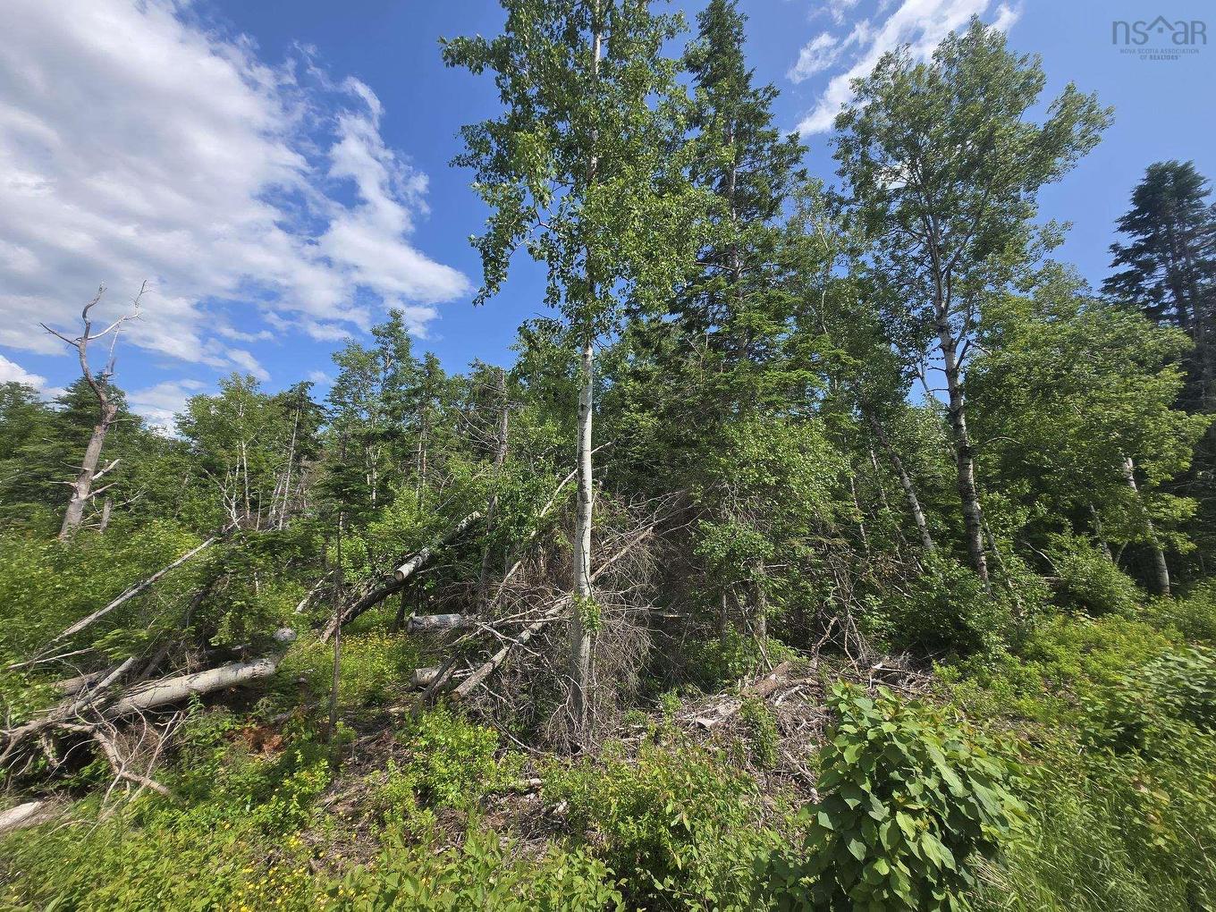 24-3Ab College Grant Road, College Grant, NS