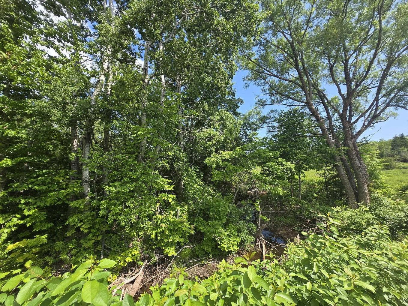 24-2 College Grant Road, College Grant, NS