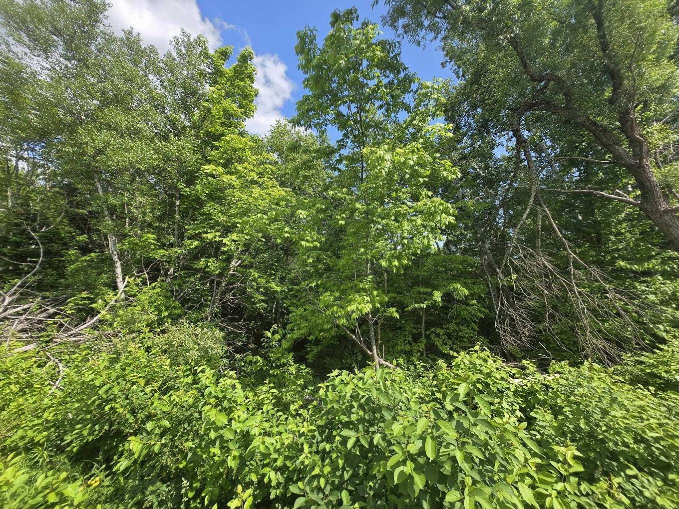 24-2 College Grant Road, College Grant, NS