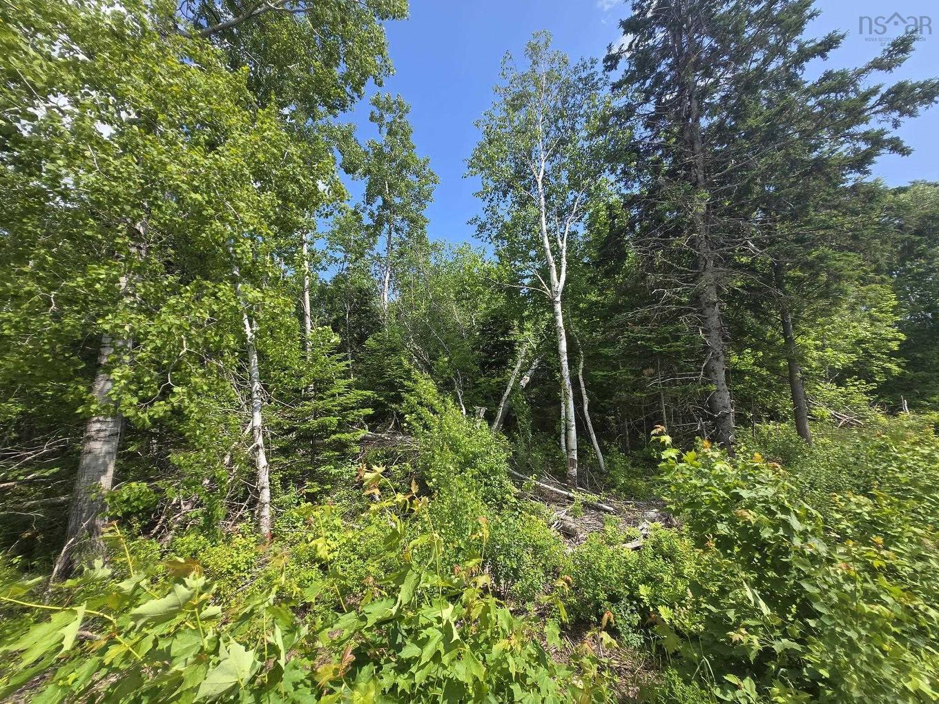 24-2 College Grant Road, College Grant, NS