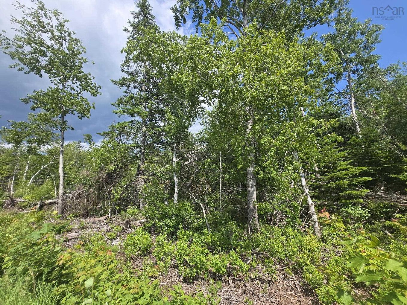 24-2 College Grant Road, College Grant, NS