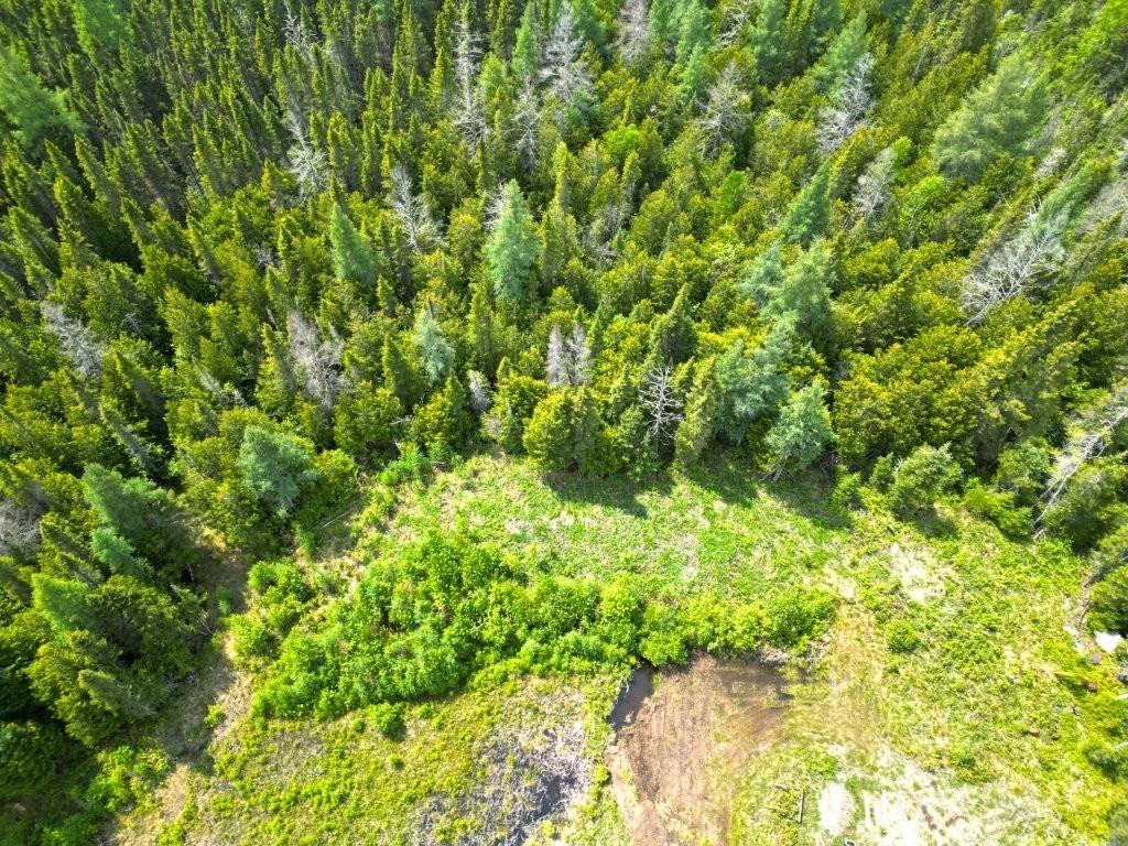 2999 Alice Ave, Thunder Bay, ON