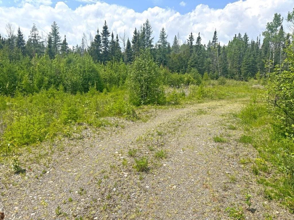 2999 Alice Ave, Thunder Bay, ON