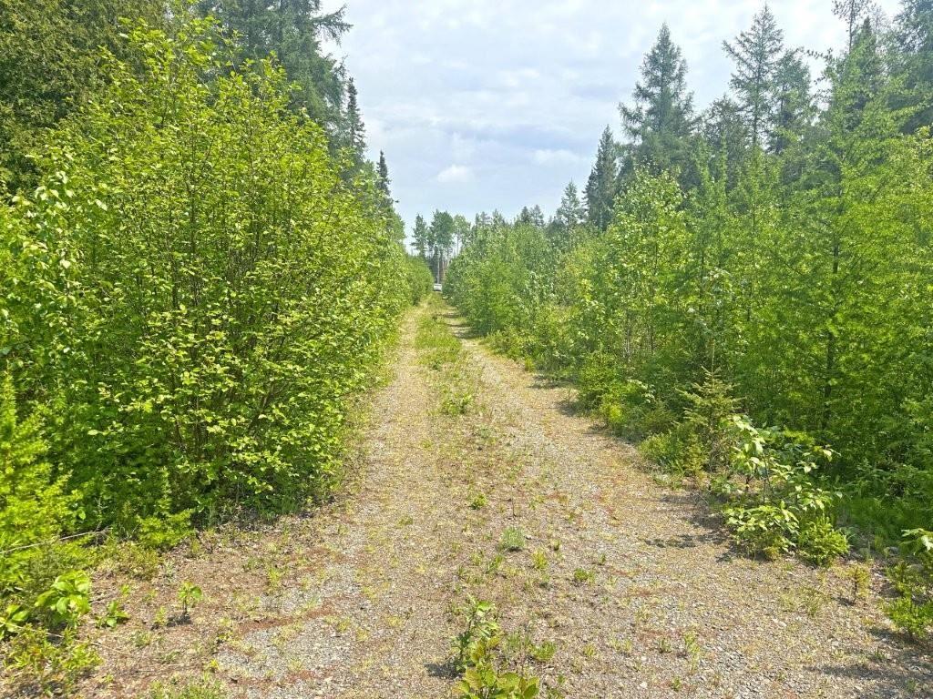 2999 Alice Ave, Thunder Bay, ON