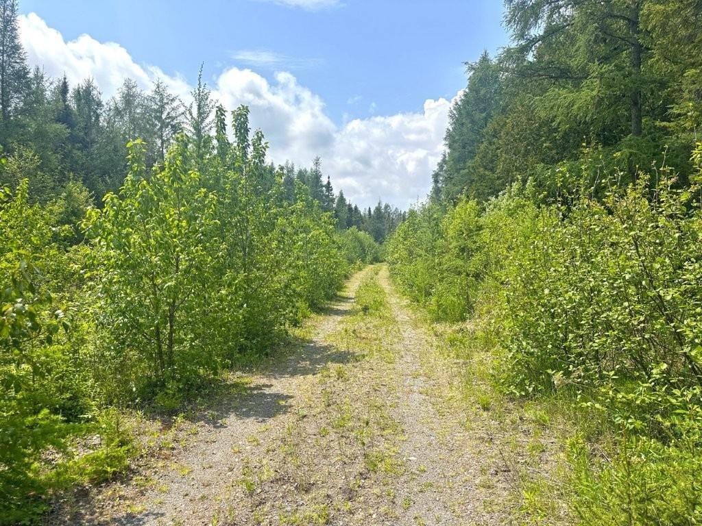 2999 Alice Ave, Thunder Bay, ON