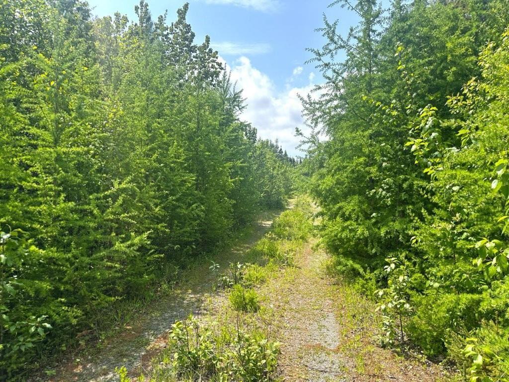 2999 Alice Ave, Thunder Bay, ON