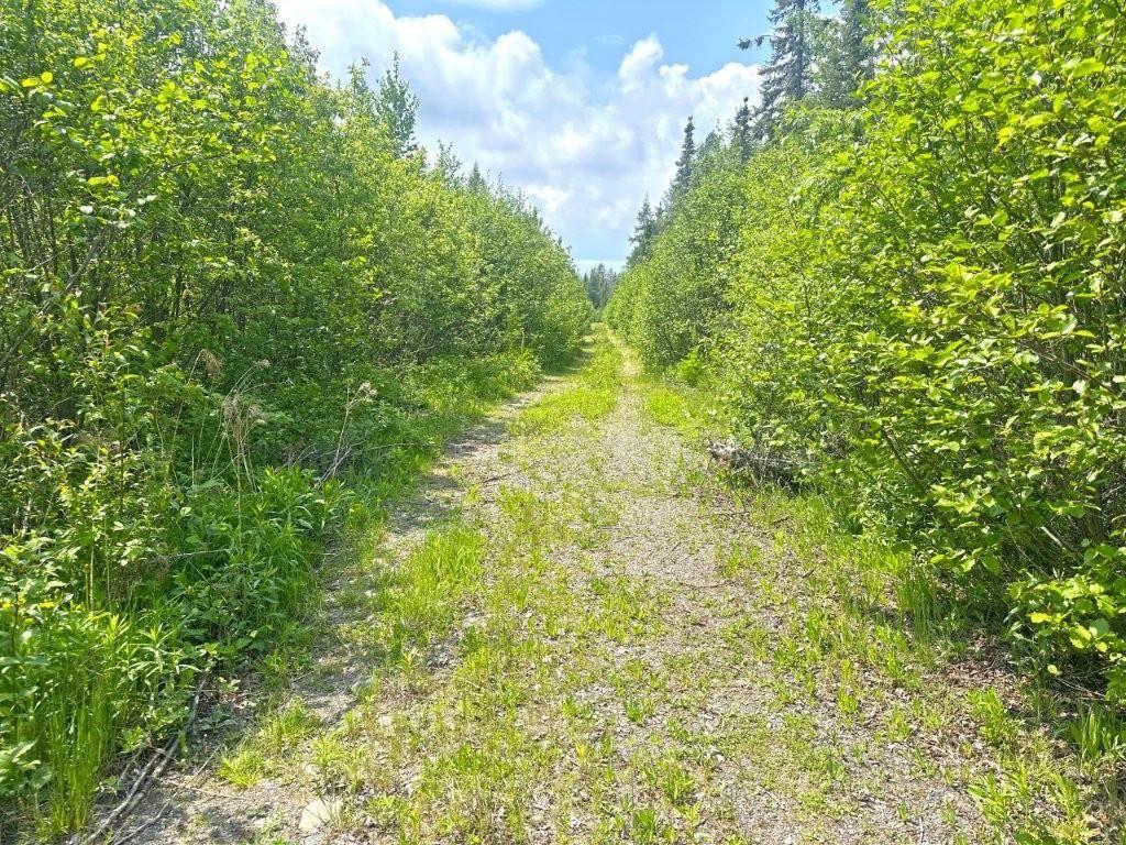 2999 Alice Ave, Thunder Bay, ON